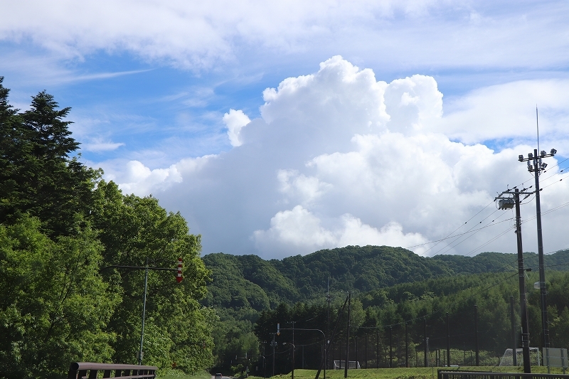 b0250154_21443460.jpg