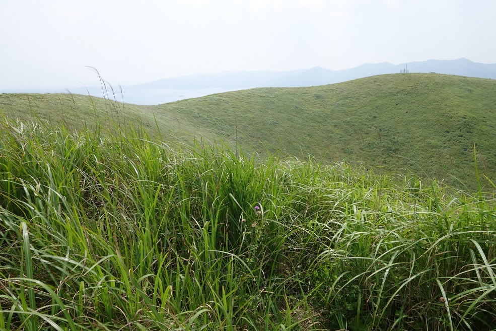 c0236857_23371592.jpg