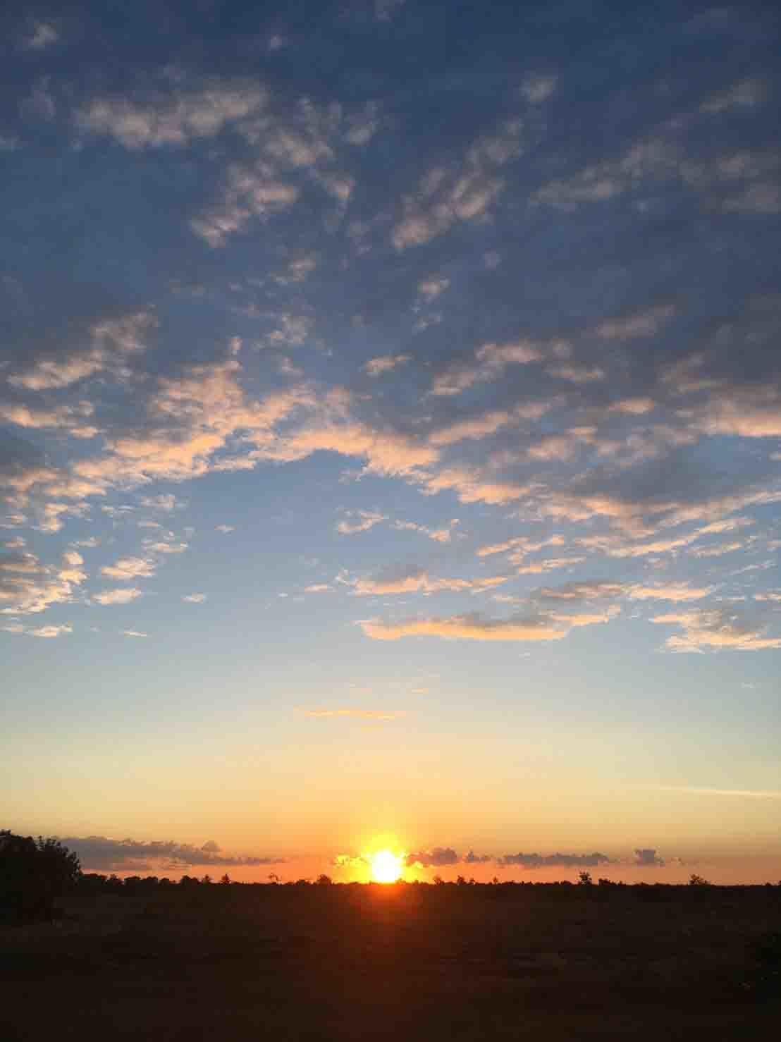f0310557_14244296.jpg