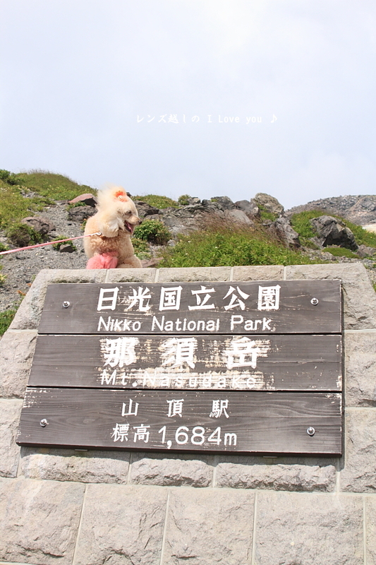 d0367763_22163661.jpg