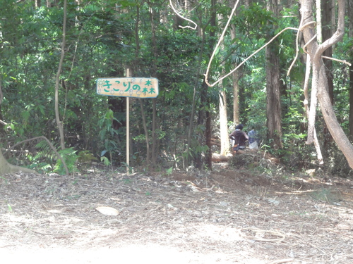 c0111172_2228792.jpg