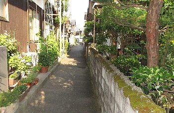 f0003283_08280903.jpg