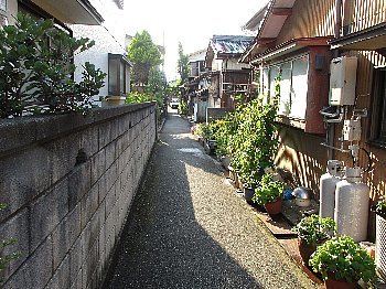 f0003283_08283847.jpg