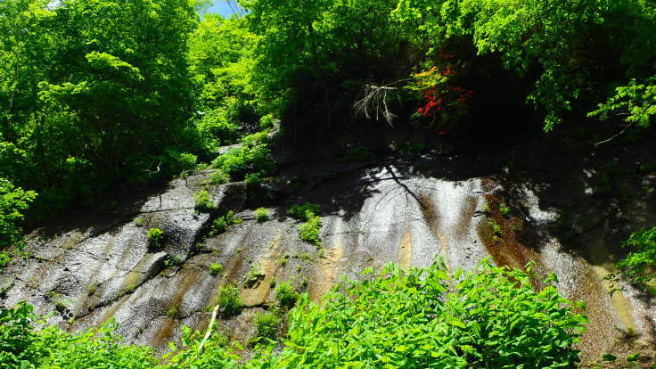 a0242984_16240308.jpg
