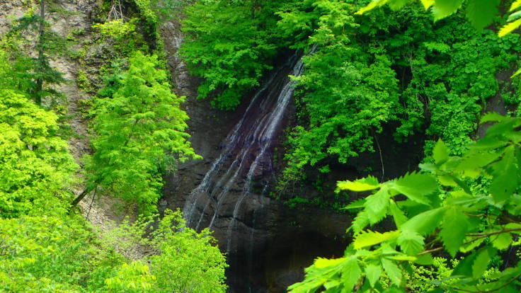 a0242984_16250019.jpg