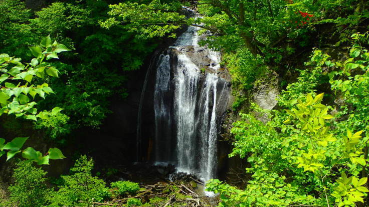 a0242984_16352433.jpg