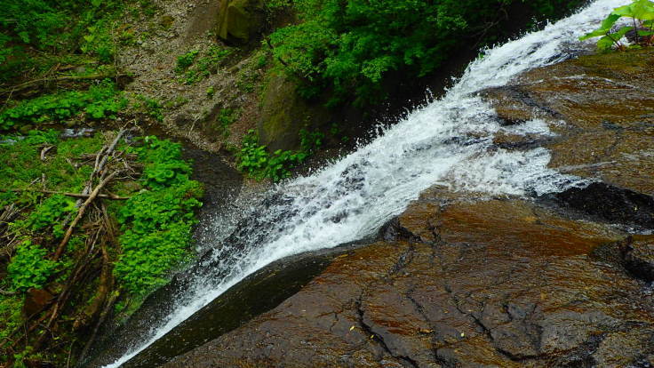 a0242984_16574025.jpg