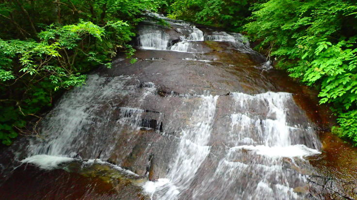 a0242984_20252647.jpg