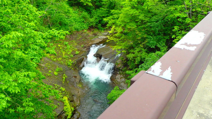 a0242984_20260734.jpg