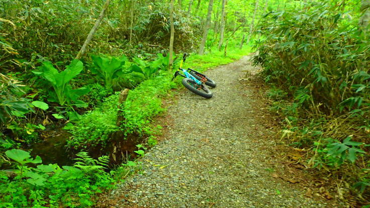 a0242984_20374404.jpg