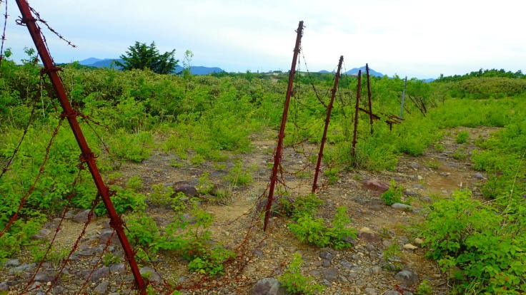 a0242984_20433234.jpg