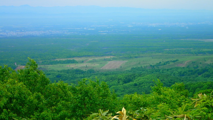 a0242984_20452494.jpg