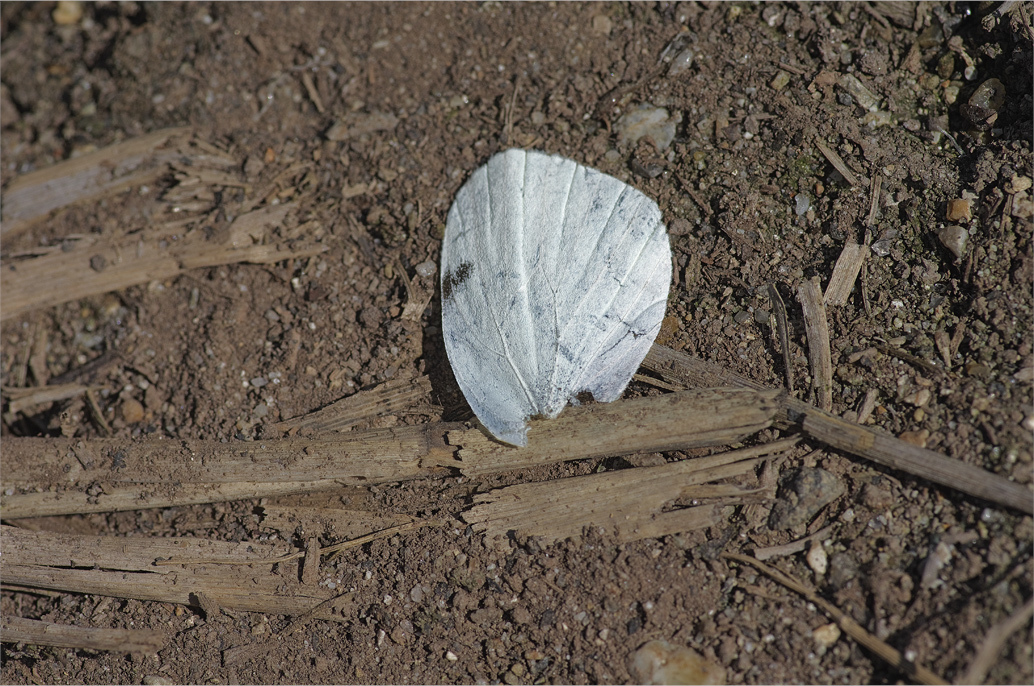 d0209988_23333921.jpg