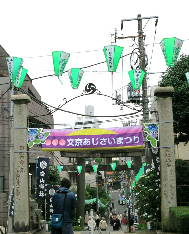 e0182389_13222852.jpg