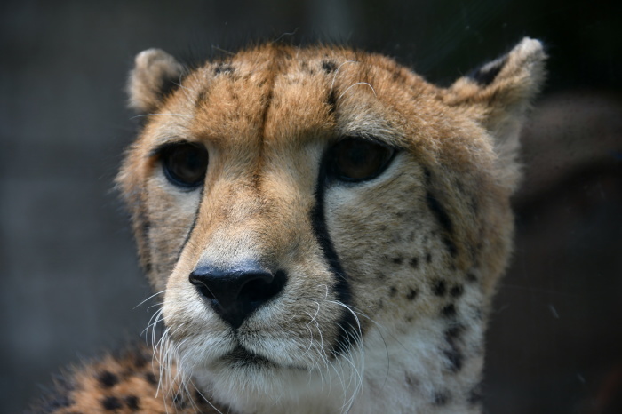 a0127090_22072149.jpg