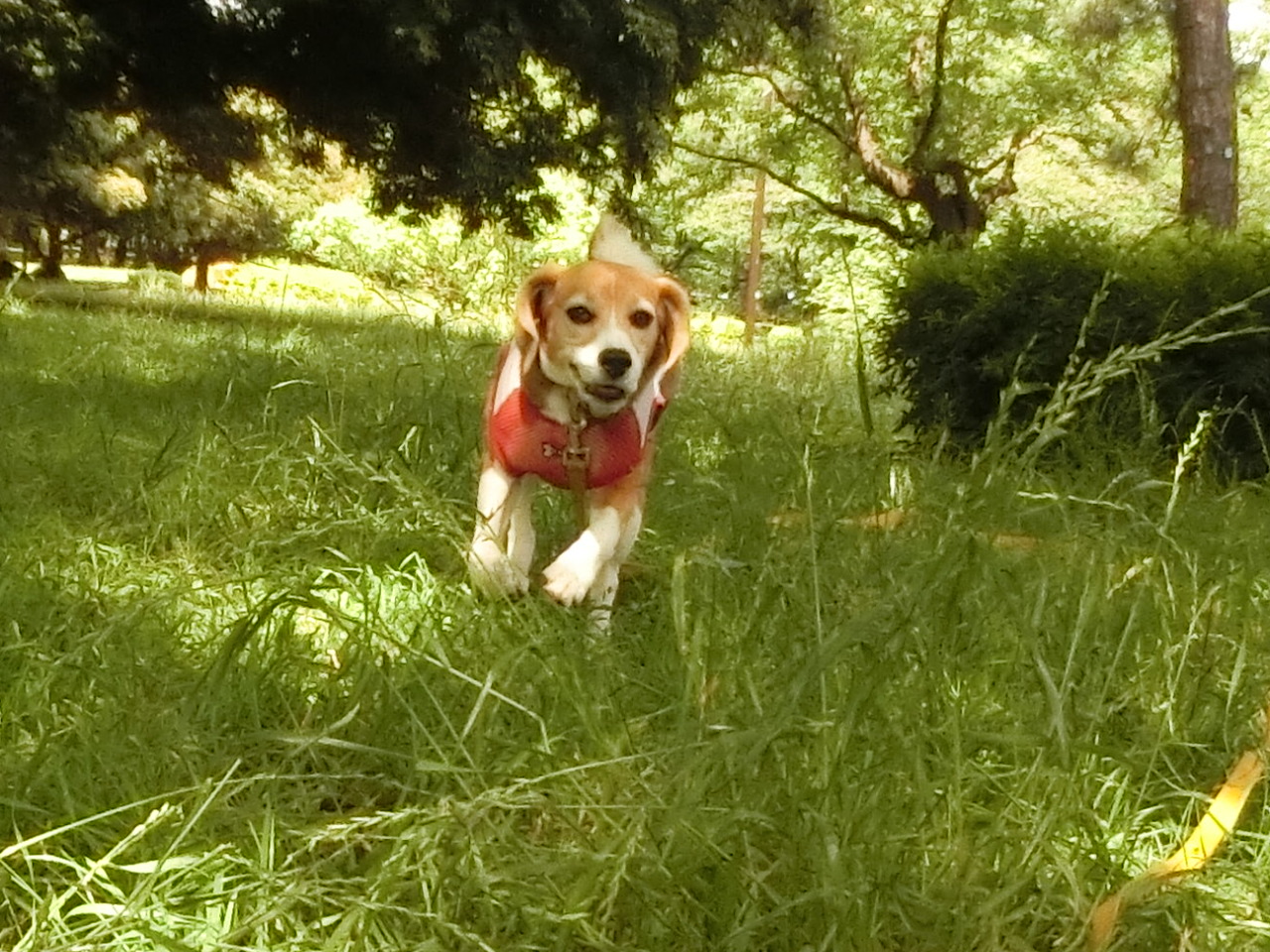 a0319693_843116.jpg