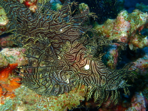 e0088400_05414315.jpg
