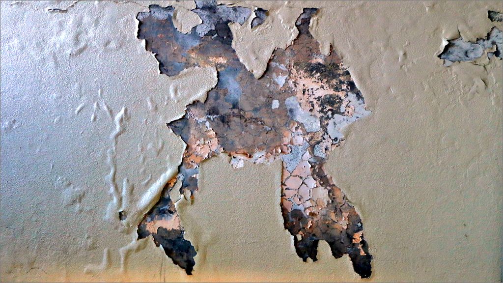 d0353401_19292434.jpg