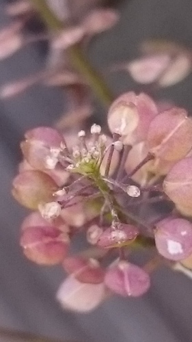 e0351303_18060475.jpg