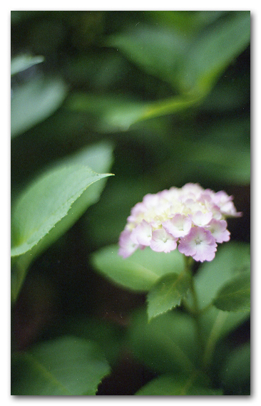 e0175405_06025315.jpg