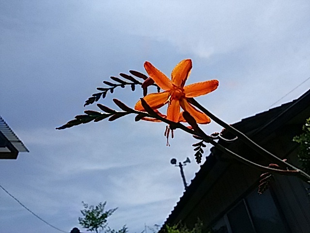 f0231709_09534329.jpg