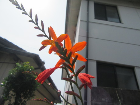 f0231709_09561222.jpg