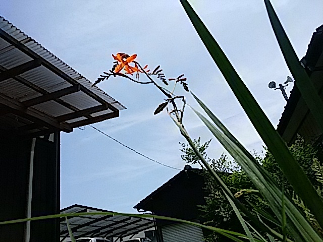 f0231709_09564426.jpg