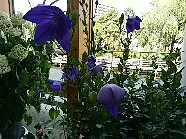 f0231709_10141380.jpg