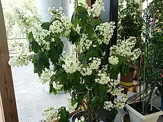 f0231709_10164331.jpg
