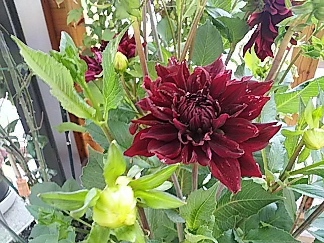 f0231709_10173885.jpg