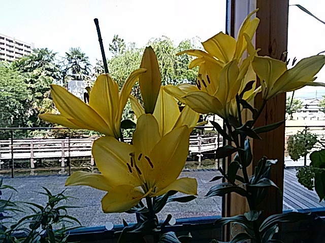 f0231709_10180784.jpg