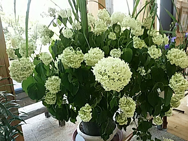 f0231709_10182142.jpg