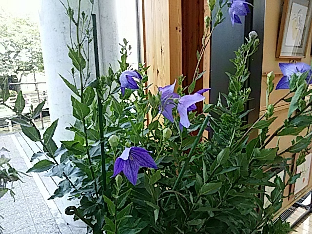 f0231709_10200427.jpg