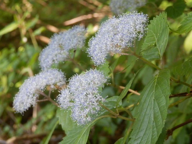 f0219710_13382136.jpg