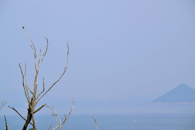 f0368610_20560560.jpg