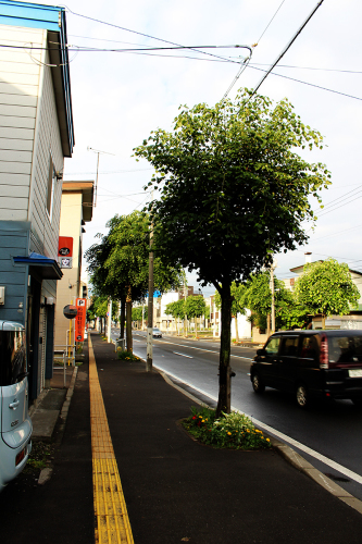 a0139912_06353115.jpg
