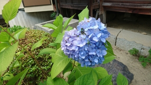 c0140516_22050406.jpg