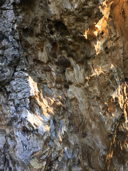 c0346119_12363005.jpg