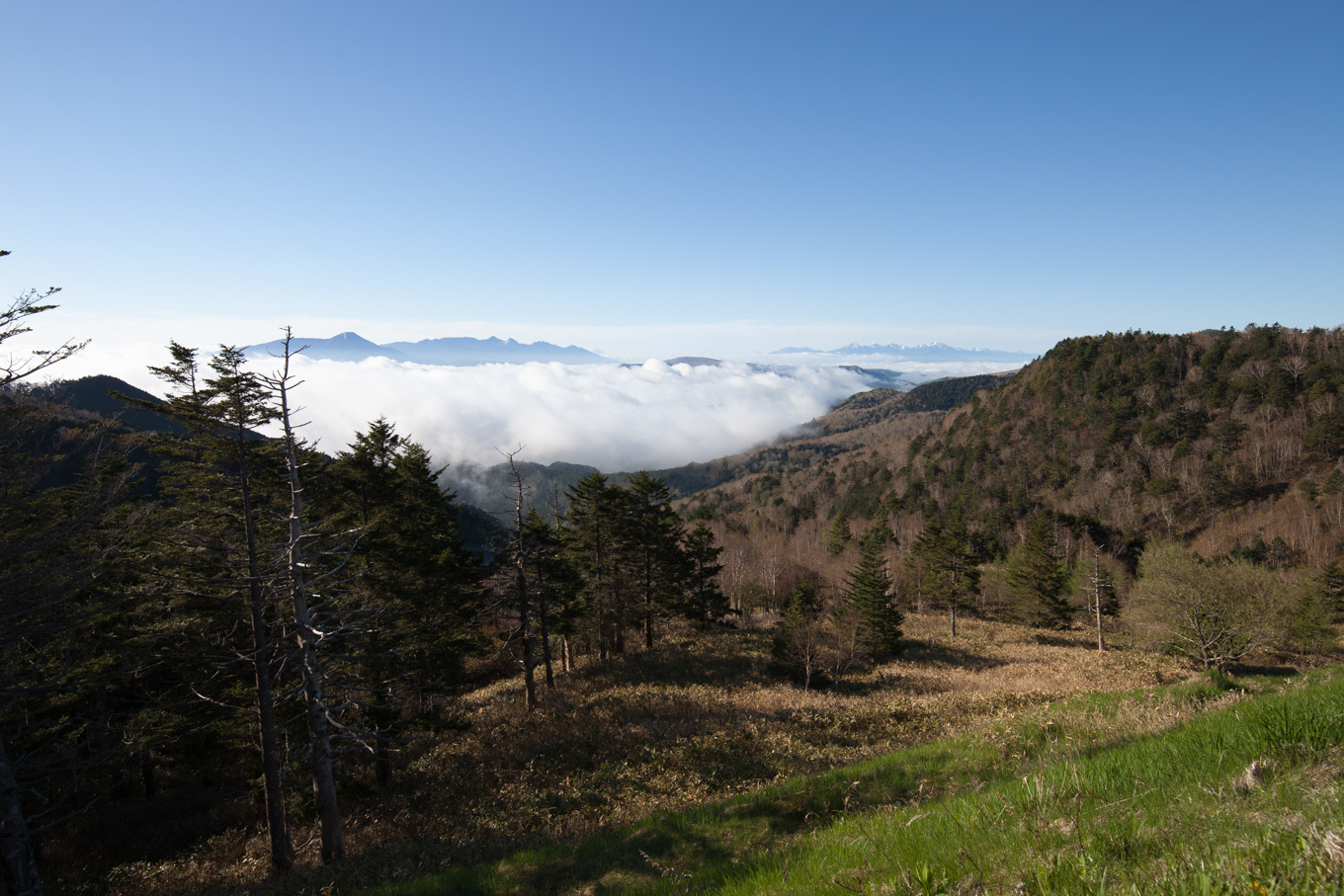 c0369219_21444216.jpg
