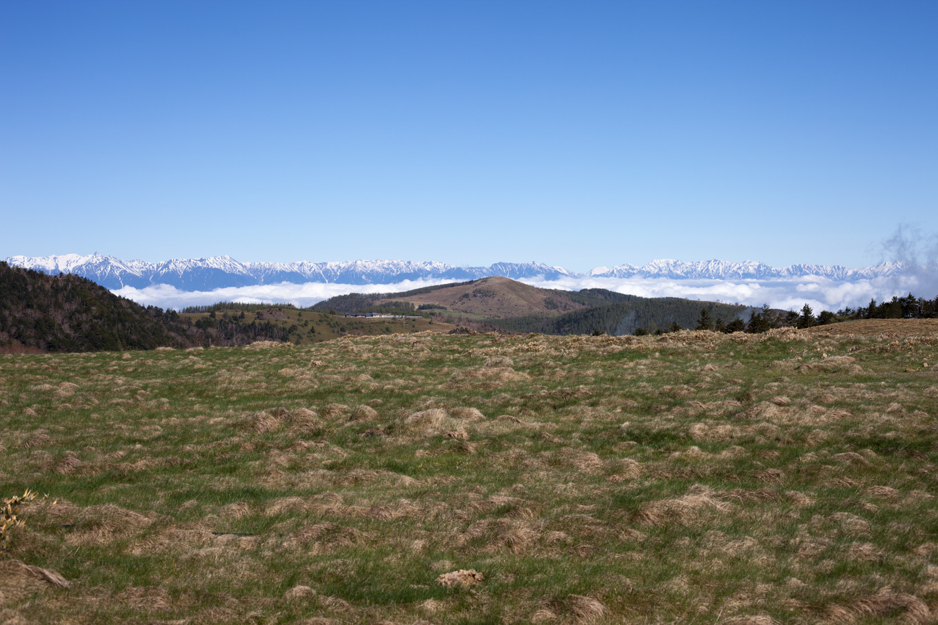 c0369219_23090813.jpg