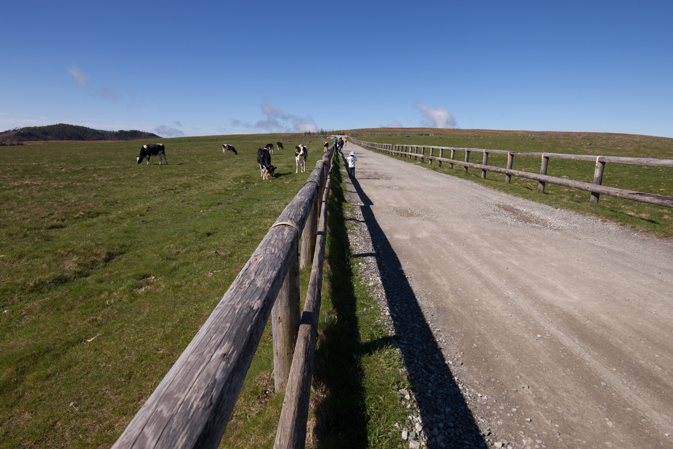c0369219_23443424.jpg