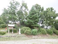 c0133422_1184020.jpg