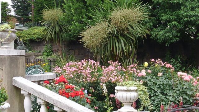 d0250123_21492296.jpg