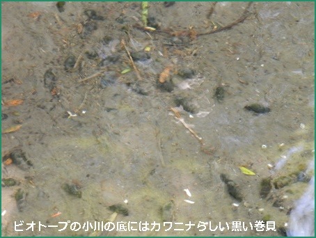 e0033229_18192394.jpg