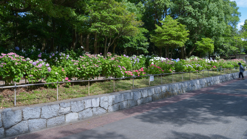 d0246136_00124735.jpg
