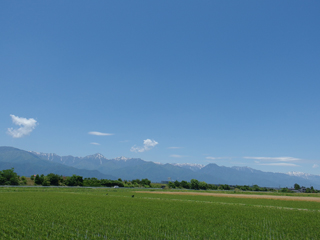 a0014840_815402.jpg