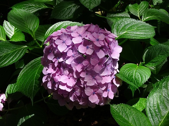b0299042_10592135.jpg
