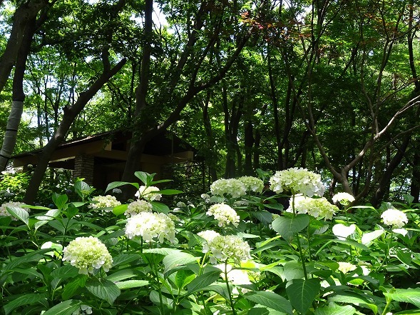 b0299042_10593243.jpg