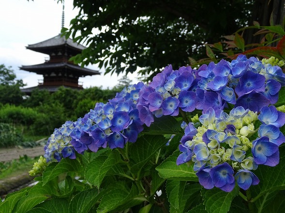 b0299042_14243198.jpg