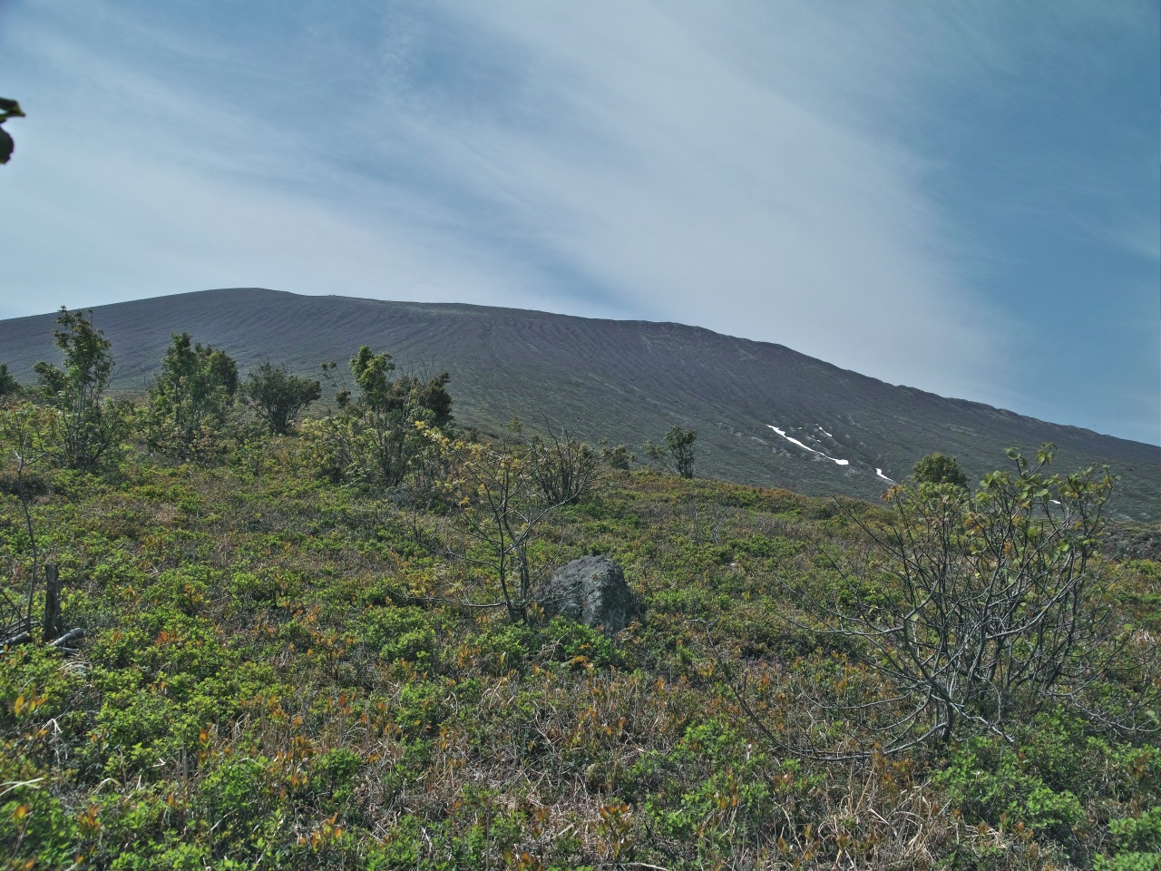 c0008948_624787.jpg